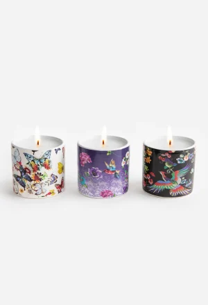 Women Johnny Was Fine Set Of 3 Votive Candles