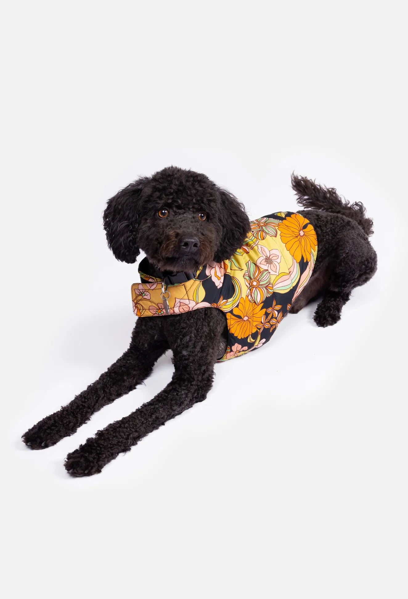 Women Johnny Was Nylon Puffer Jacket