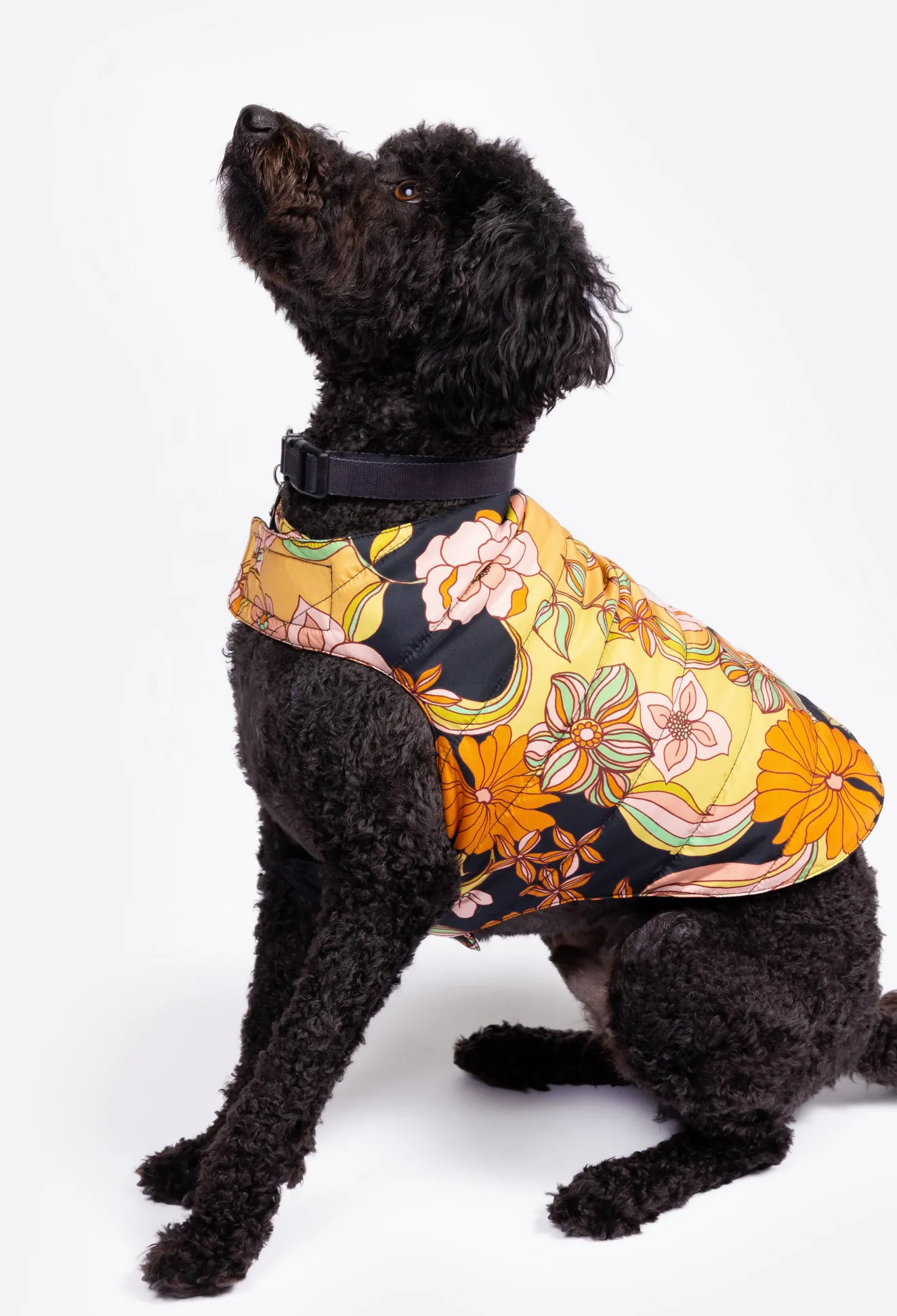 Women Johnny Was Nylon Puffer Jacket