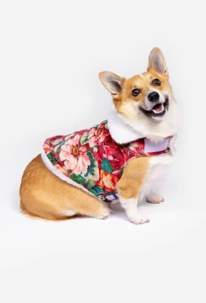 Women Johnny Was Sherpa Pet Jacket