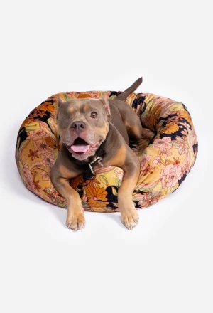 Women Johnny Was Wonder Years Large Dog Bed