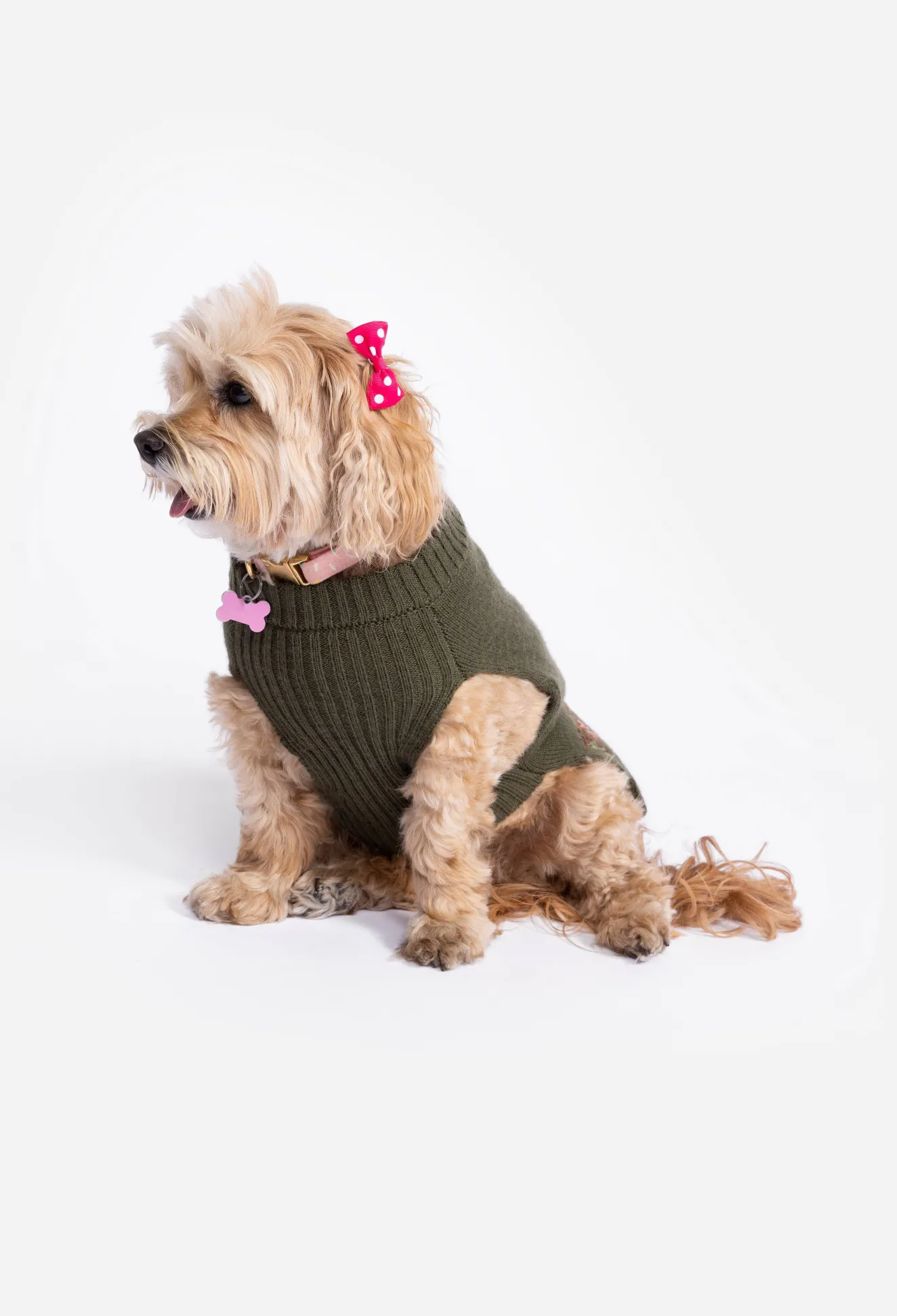 Women Johnny Was Zuzu Embroidered Dog Sweater