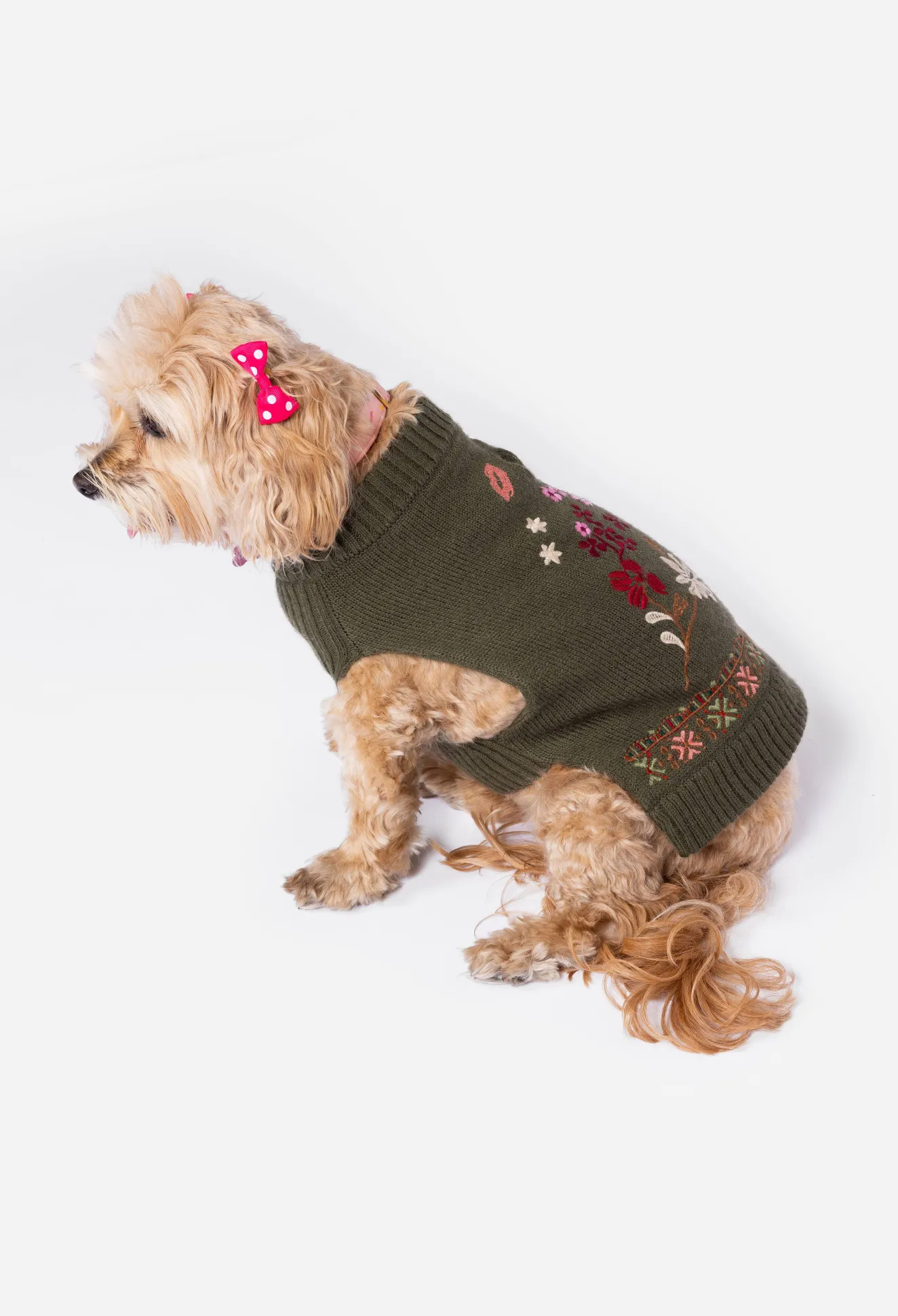 Women Johnny Was Zuzu Embroidered Dog Sweater