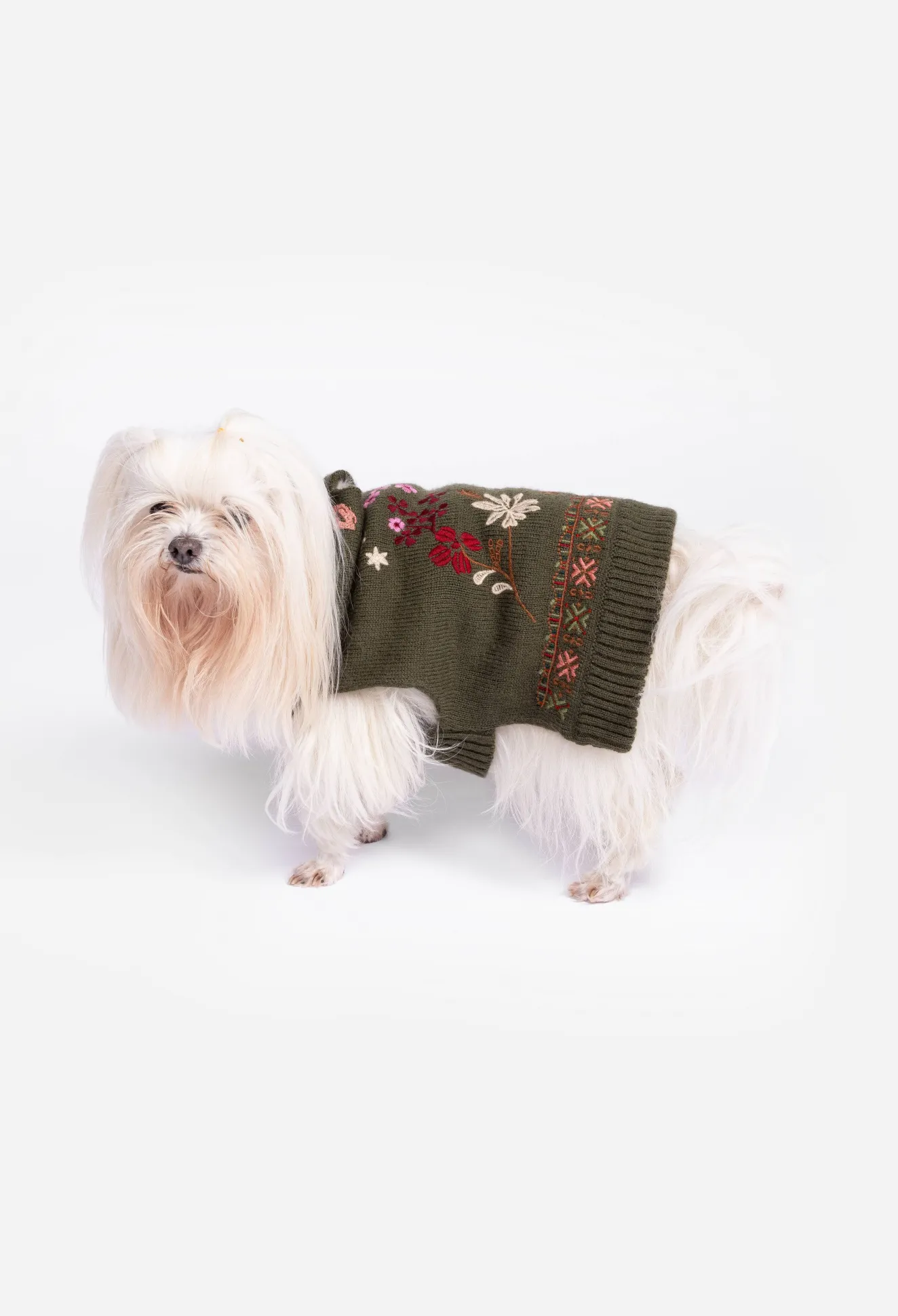 Women Johnny Was Zuzu Embroidered Dog Sweater
